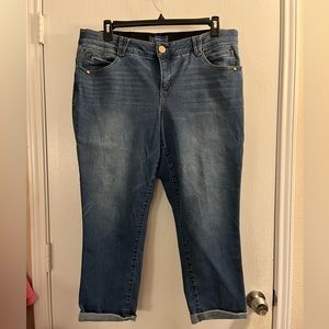 Democracy, “Ab” solution cropped Jean- 20W